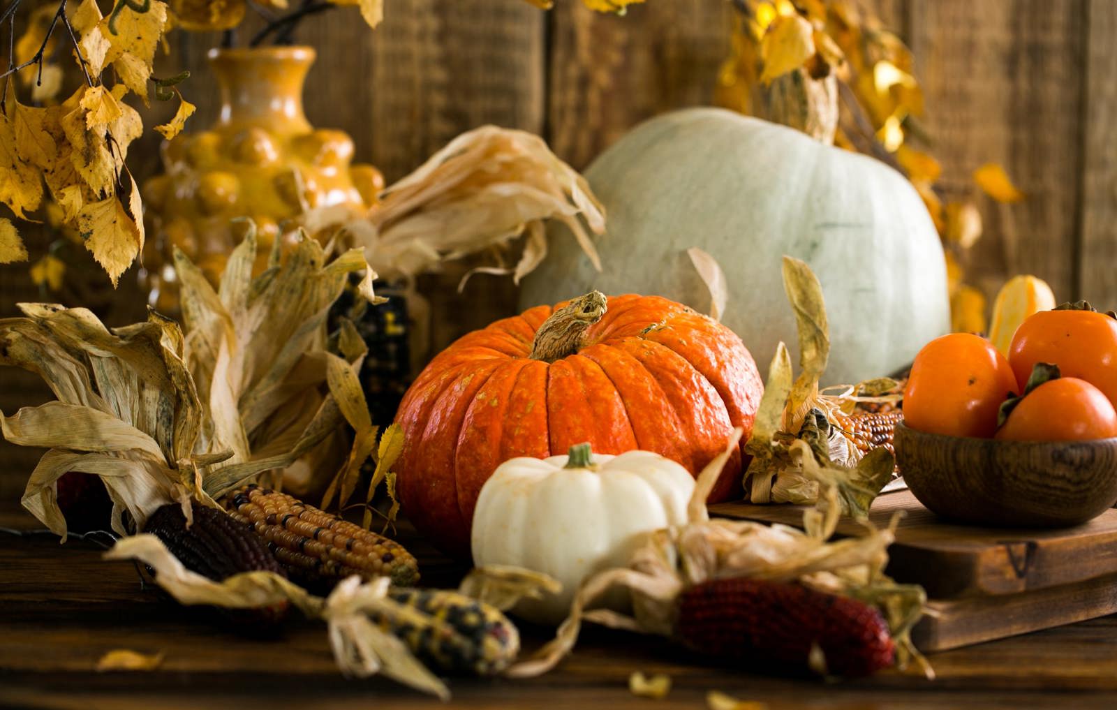 /uploads/components/newsarticle/pexels-myfoodie-3094074-67239ef18f3e5.jpg (2)